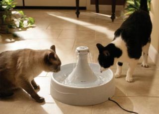Drinkwell 360 Pet Cat Dog Fountain D360 Re