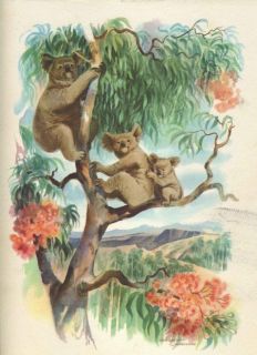 Matson Lines Macouillard Menu Koala s s Lurline 1968