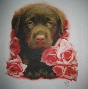 Chocolate Lab Puppy Shirt Pink Roses 2T 3T 4T 5 6 6 8