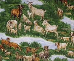 Goat Quilt Fabric Timeless Treasures C8139