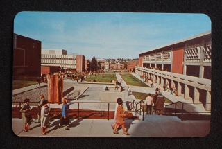 1960s Outdoor Walkways University of Idaho Moscow ID Latah Co Postcard