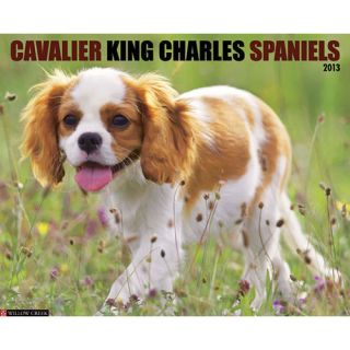 Cavalier King Charles Spaniels 2013 Wall Calendar