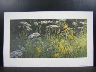John Seerey Lester Evening Meadow Goldfinch Print