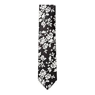 Duchamp   Accessories   Ties   