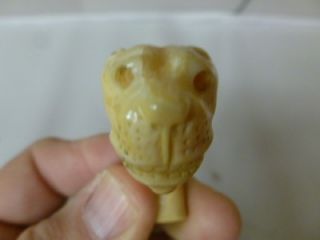 Faux ivory? or Bone Cane Top   Carved Lion or Tiger Head 2 1/2 Inches