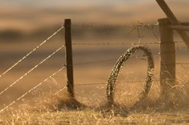 Fencing Lanes And Gates