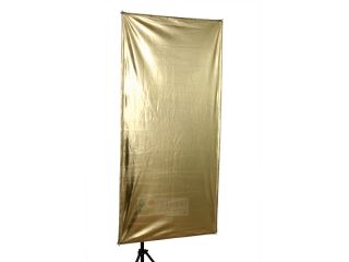 120cm x 60cmReflector with Swivel (Gold and Silver); Package Includes