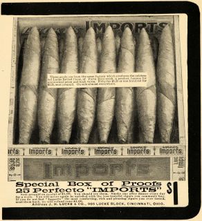 1901 Ad J. H. Lucke Rolled Cigar Proof Perfecto Tobacco   ORIGINAL