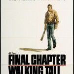 Final Chapter Walking Tall 1977 Original Movie Poster