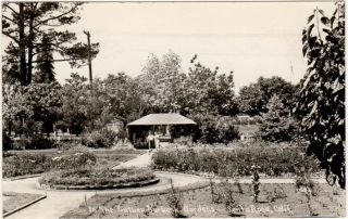 Real Photo Postcard of Luther Burbank Gardens in Santa Rosa California