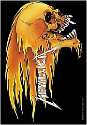 New Metallica Cloth Poster Flag Skull Flames