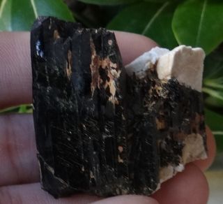 Aegirine Crystals Cluster Specimen from Malawi
