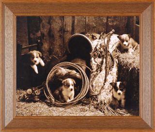 Korgie Boys Robert Dawson Western Dogs Puppies Framed Picture Poster