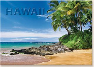 Hawaiian Palm Beach Solid Magnet Maui Hawaii Travel 
