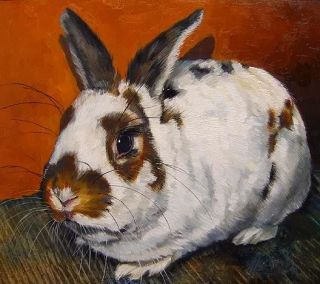 Rabbit Bunny Copper Original Oil Painting K Mccollough