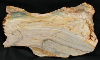 This unpolished slab will make some wonderful cabochons or a