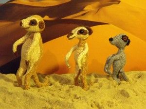 whole family of micro meerkats ranging from just 3 5 inches high