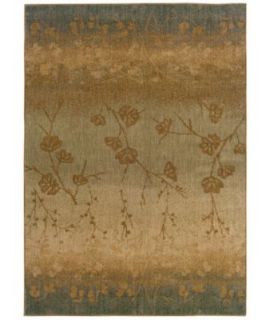 MANUFACTURERS CLOSEOUT Sphinx Area Rug, Perennial 1125B 111 X 76