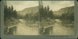Glacier Park Middle Flathead River C 1909 Norman Forsyth Stereoview