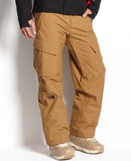 The North Face Pants, Slasher Cargo Hyvent Freeride Pants