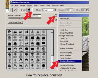 Brushes Adobe Photoshop 7 0 thru CS5 Elements