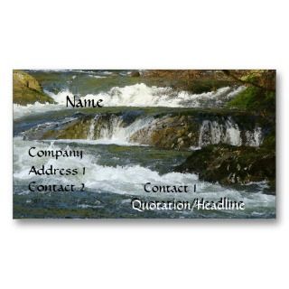 Fly Fishing Fishermen Guide Company Business Card.
