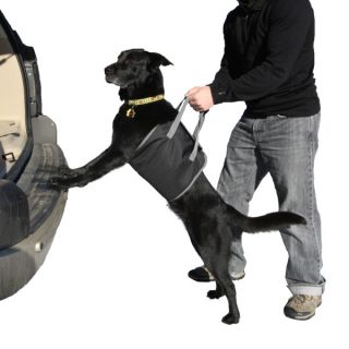 Dog Seat Belts & Dog Car Harness
