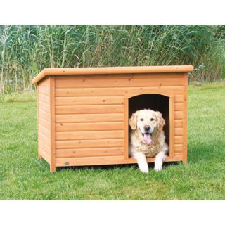 Dog House & Shelter for Dogs