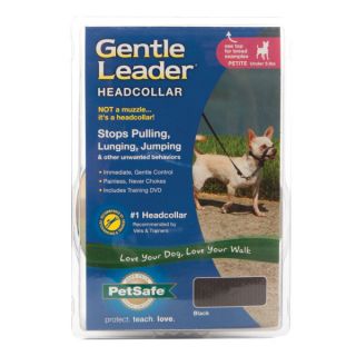 Premier Gentle Leader Headcollar for Dogs   Black