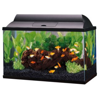 Fish Tank & Fish Aquariums for Sale