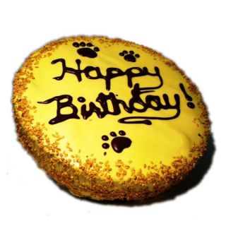Wet Noses Yellow Dog Birthday Cake   Dog   Boutique