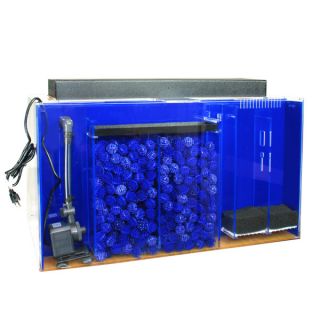 Fish Aquariums Over 40 Gallons Clear For Life Rectangle Acrylic UniQuarium 55 Gallons