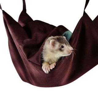 Small Pet Furniture and Other Related Pet Accessories