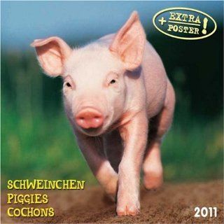 Piggies / Schweinchen 2011. Artwork Edition Bücher