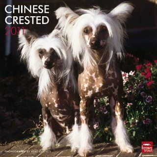 Chinese Crested 2011 Calendar Browntrout Publishers