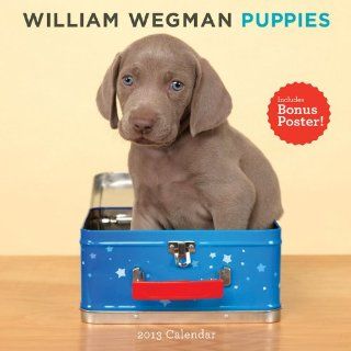 William Wegman Puppies Calendar (Wall Calendar) William