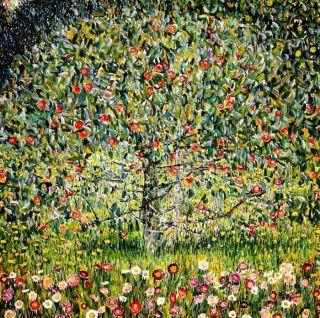 Gustav Klimt Der Apfelbaum g81381 80x80cm bemerkenswertes Olgemaelde