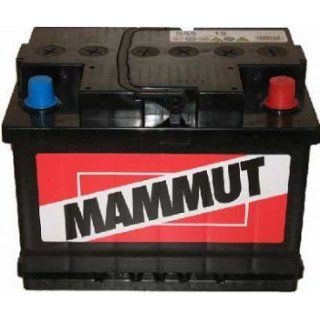 BANNER MAMMUT Batterie gefüllt 45 Ah 360 A 54519 Baumarkt
