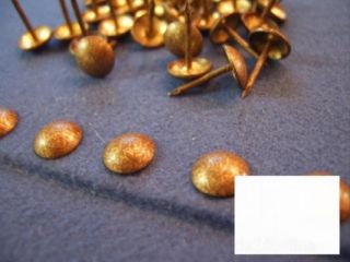 1000 Ziernägel Polsternägel altgold gefl 110 1/3 Ø10mm