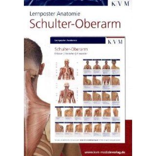 Lernposter Anatomie. Schulter   Oberarm Sabine Poppe