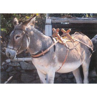Holz Packsattel für Esel oder Pferde Haustier