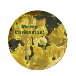 Merry Christmas plate gifts for Goodies Rhodies