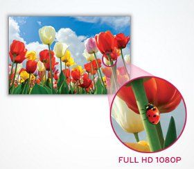 Multimedia Monitor mit 60,9 cm (24 Zoll) Bildschirmdiagonale, SUPER