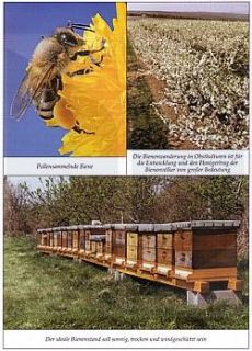 Wallner Imker Praxis, Grundwissen Bienenwirtschaft NEU (Ratgeber