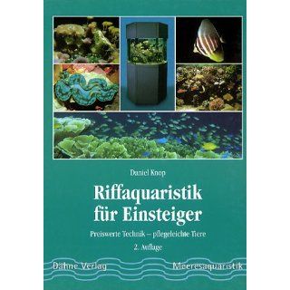 Riffaquaristik für Einsteiger. Preiswerte Einrichtung   Pflegeleichte