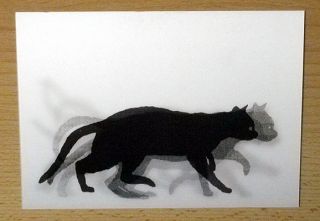 LP231 LM Lentikular Postkarte Karte schwarze Katze Panther Wackelbild