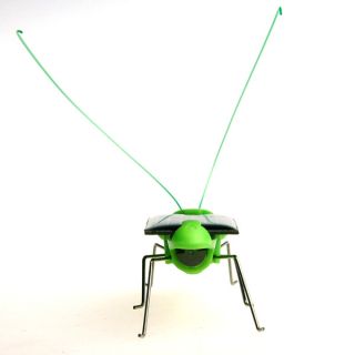 Solar Spielzeug Grashüpfer Heuschrecke Heupferd Grasshopper Tier