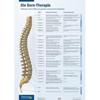 Die Dorn Therapie. Poster 59, 4 x 84 cm Beziehung zwischen Wirbeln