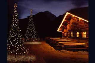 LED Weihnachtsbaum künstlicher Christbaum 3 m mit 360 LED warmweiß