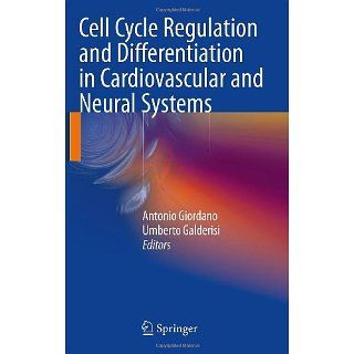 Cell Cycle Regulation and Differentiation in Cardiovascular and Neural